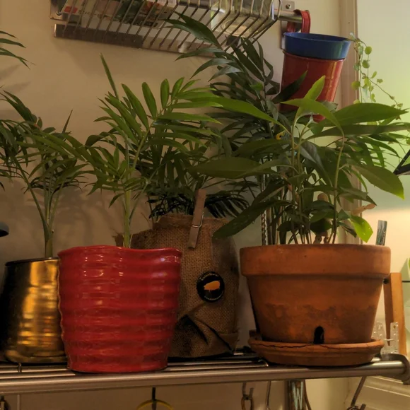 Globe Smart Plug - Picture 2 of 2